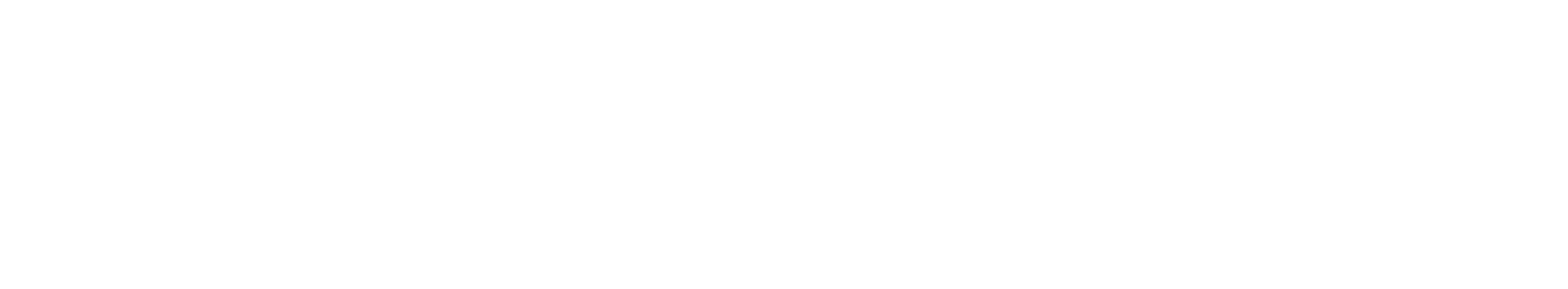 Illusions Phoenix A Division of National Structures Logo